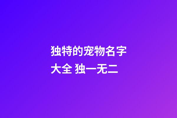 独特的宠物名字大全 独一无二